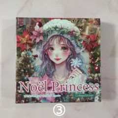 【nene様】Noёl Princess ミニセット③ おすそ分け