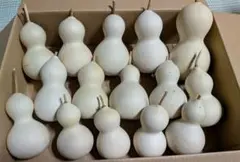 【未使用】たれぱんだ　蚊取り線香　サンエックス　レア　箱あり　陶器 未使用】たれぱんだ 蚊取り線香 サンエックス レア 箱あり 陶器 - メルカリ