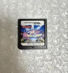 DSソフト とんがりボウシとおしゃれな魔法使い ソフトのみ