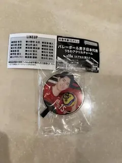 バレーボール男子日本代表 アクリルキーホルダー