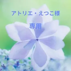 アトリエ・えつこ様　専用　ブローチ2点