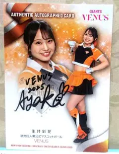 Item thumbnail for item 88b88f3a-32e1-48b5-b606-fcb35a98c08d