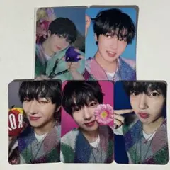 NCTWISH サクヤ トレカ セット songbird