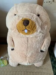 2025年最新】マーモット ぬいぐるみ ウルトラの人気アイテム