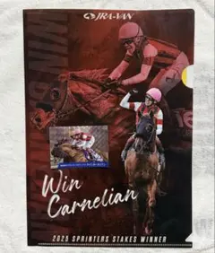 【非売品】ウインカーネリアン クリアファイル スプリンターズSステッカー セット