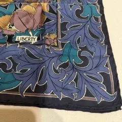 Item thumbnail for item 1e2e2151-e17f-40dc-ba55-8180426a42eb