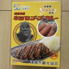 限定販売商品 元気の源 キヨセゴーゴーカレー