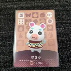 どうぶつの森 ゆきみ amiiboカード 067