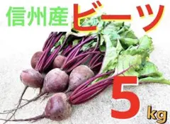 【信州産ビーツ】5kg 【有機肥料使用・化学農薬不使用】のサムネイル