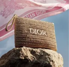 DIOR ディオール　サマーポーチのサムネイル