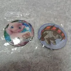 ポケモン　ポケットモンスター　マグネット　2個セット