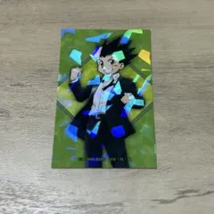 HUNTER×HUNTER スーツ ホログラムイラストカード ゴン