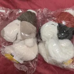 スヌーピー ぬいぐるみ 2体セット　マスコット　タグ付　ニット帽　帽子　未使用