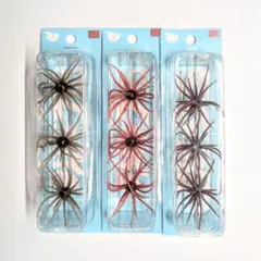 2025年最新】旧コイケの人気アイテム - メルカリ