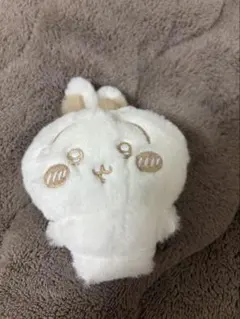 うさぎ ミルクいろ ぬいぱれっと ちいかわ