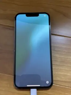 Apple iPhone 13 Pro 256GB 本体 アルパイングリーンのサムネイル