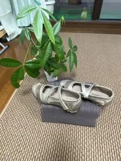SKECHERS メタリック スリッポンのサムネイル