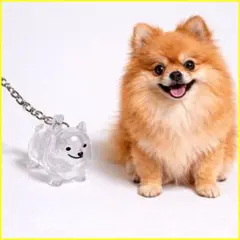 ポメラニアン 犬 毛玉入れ キーホルダー かわいい メモリアルD