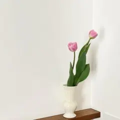 Item thumbnail for item 1b2697a9-012e-4b4a-afd5-19eb8b61438e