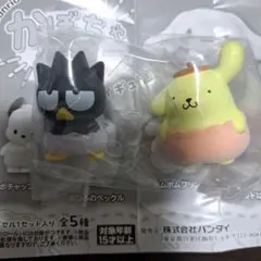 サンリオ かぼちゃパンツ　ポムポムプリン　ばつ丸　セット