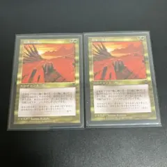 MTG 資源の浪費 2枚セット 日本語版 MTG 資源の浪費 2枚セット 日本語版 - メルカリ