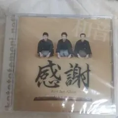 ★和音 感謝 First Best Album 衣袋　新品未使用 a0308