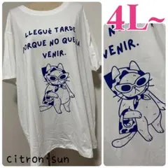 4L”ゆるっと かわいい レトロな猫ちゃん Tシャツ 大きいサイズ レディース