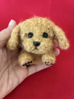羊毛フェルト 犬 トイプードル（茶）ぬいぐるみ　ブローチのサムネイル
