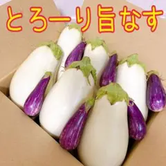 採れたて白ナス【7〜11個】ステーキが美味！レンチンポン酢もね