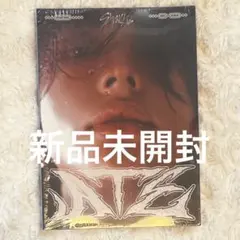 Stray kids ヒョンジン ATE accordion 新品未開封