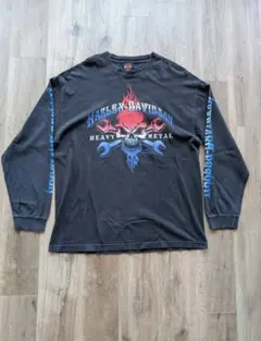2010ｓ【Harley-Davidson】ファイヤーパターンL/S Tシャツ