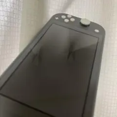 Nintendo Switch Lite グレー 本体