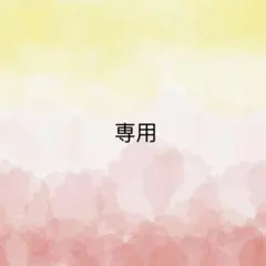 ぷっちゃん様 リクエスト 5点 まとめ商品