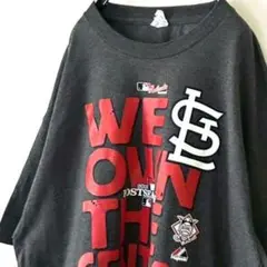 アルスタイル ウィーオウンザ セントラル Tシャツ XL グレー 古着