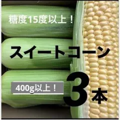 628【ご購入後収穫】400g以上！スイートコーン（おおもの）　3本のサムネイル