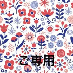 ご専用　メレンゲプレッツェル＆クラッカークッキー