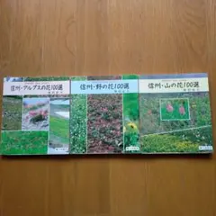 Item thumbnail for item f84584d2-8742-4e1e-829d-80911ebe0551