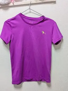 ノースフェイス 紫 Tシャツ 半袖