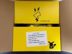 専用BOX付き おかえりピカチュウ 1/1 30周年記念 タカラトミーモール