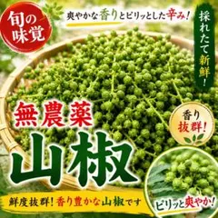 鳥取県産 朝倉山椒 300g 採れたて新鮮！実山椒 山椒の実 無農薬 - メルカリ