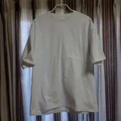 Vintage ONEITA 白 無印 tシャツ XL ブランク 90s OLD - メルカリ
