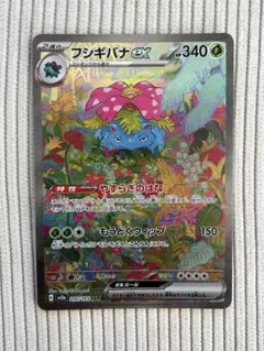 フシギバナex SAR ポケモンカード151シリーズ Amazon.co.jp: ポケモンカード151 sv2a 強化拡張パック