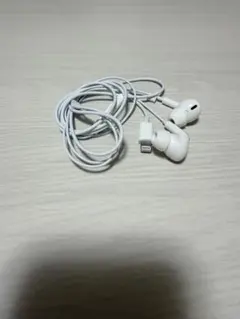 ホワイト 有線イヤホン Lightning接続