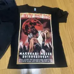 LUNATIC FEST 2018 Tシャツ サイズSmall