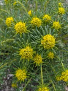 Kumiko様 リクエスト 2点 まとめ商品