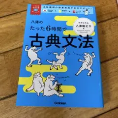 八澤のたった6時間で古典文法