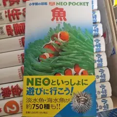 魚