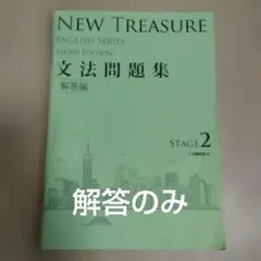 NEW TREASURE 文法問題集 第三版
