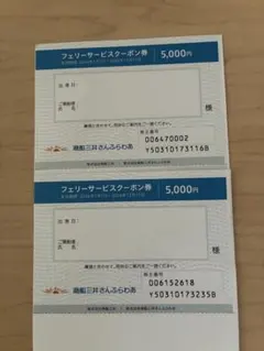 商船三井さんふらわあ✳︎フェリー優待券　2枚のサムネイル
