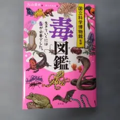 racchi様 リクエスト 2点 まとめ商品